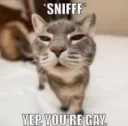 gay