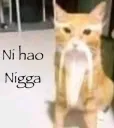 ni_hao_nigg