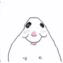 hamster3