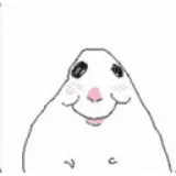 hamster3 hamster3