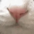 mlemYummy