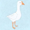 Seedlyn Goose