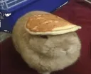 bnuy