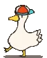 ducky dance