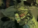 faded cat