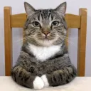 waiting__snore________