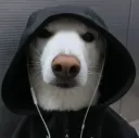 emo dog