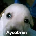Ai Kabron👀