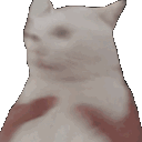 Cat shake