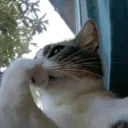 pensando .gg/crimson-moon