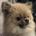 WhatTheyDoingOverThere