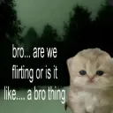 Bro