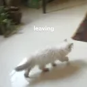 Leaving
