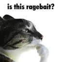 Is this Ragebait?