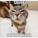 We know you’re gay