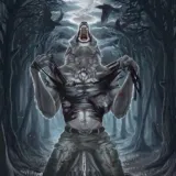 alpha wolf alpha wolf