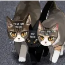 Between the thighs {THL}