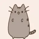 pusheen