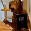ScaredHolyBibleDog
