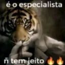 é o especialista 