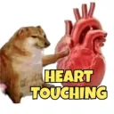 Heart Touching /dxbs