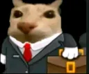 gato abogado