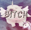bitch