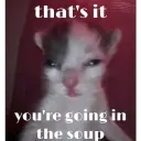 Go In The Soup {THL}