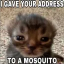 Sent you a mosquito {THL}