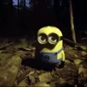 minion