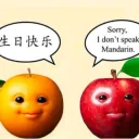 What is Bro yappin About