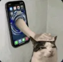 telefon kedi