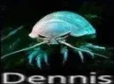 dennis
