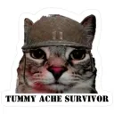 MARSHAL STOLE MY HOUSE