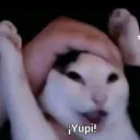 Yupi👀
