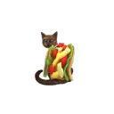 taco cat