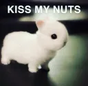 kiss my nuts!!!