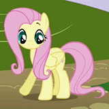 Shy ggwhiskerwishes