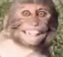 monkesmile