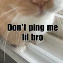 Don’t ping me bro