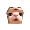 CatCube