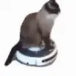 car car