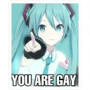 you are GAY.