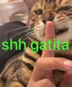 Shh Gatita