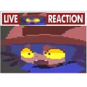 LIVE NIKO REACTION