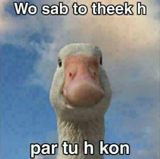 tu kon