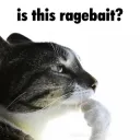 Ragebait? 