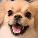Smilez