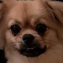 Huh?