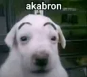 akabron